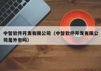 中智软件开发有限公司（中智软件开发有限公司是外包吗）