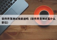 软件开发测试有前途吗（软件开发测试是什么职位）