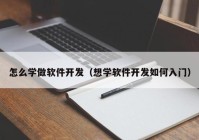 怎么学做软件开发（想学软件开发如何入门）