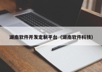 湖南软件开发定制平台（湖南软件科技）