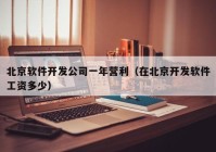 北京软件开发公司一年营利（在北京开发软件工资多少）